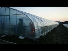 Polytunnel-Gewächshaus