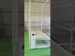Wachstumsregale