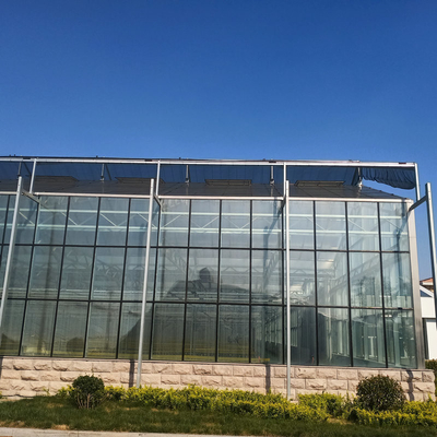 12m Span Gutter Connected Venlo Tempered Glass Greenhouse For Flowers 12x10 12x12 12x14