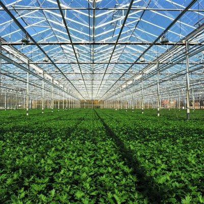 12m Span Gutter Connected Venlo Tempered Glass Greenhouse For Flowers 12x10 12x12 12x14