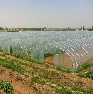 High Quality Clear UV Resistant Greenhouse Film Plastic Agriculture For Strawberry Flower Hydroponic
