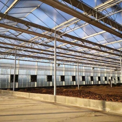 9x12 9x14 9x7 Board Polycarbonate PC Sheet Greenhouse For Hydroponic Growing System