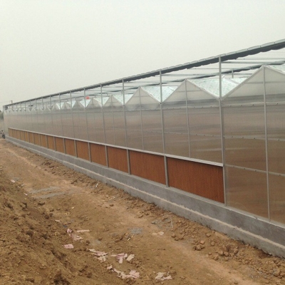 9x12 9x14 9x7 Board Polycarbonate PC Sheet Greenhouse For Hydroponic Growing System