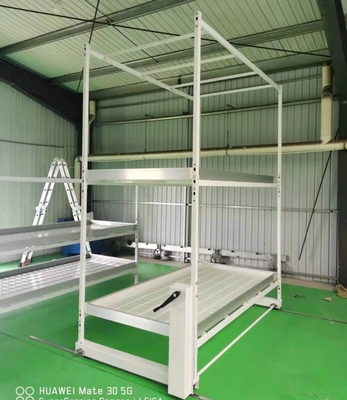 4'X8' Mobile Vertical Multi Cucumber Growing Rack Greenhouse Indoor Ebb And Flow Rolling Tables