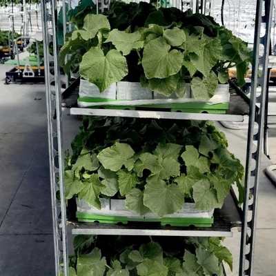 1350x565x1900mm Display Plant Flower Cart  Nursery Cart With 5 Levels