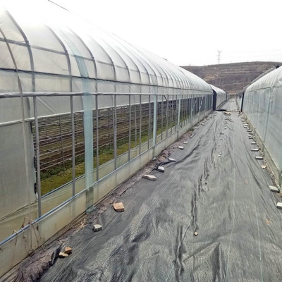 Strong Polytunnel Greenhouse 3m X 2m 9m 10m Growing Mushroom Natural Ventilation Shade Net