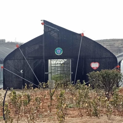 Indoor Hydroponic Tropical Area Polytunnel  Sawtootch Greenhouse With Cooling Irrigation System