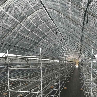 Strong Polytunnel Greenhouse 3m X 2m 9m 10m Growing Mushroom Natural Ventilation Shade Net