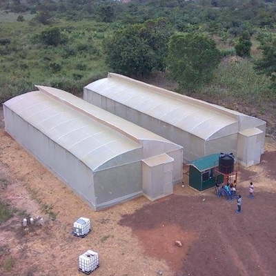 Indoor Hydroponic Tropical Area Polytunnel  Sawtootch Greenhouse With Cooling Irrigation System