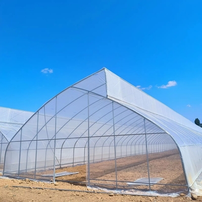Indoor Hydroponic Tropical Area Polytunnel  Sawtootch Greenhouse With Cooling Irrigation System