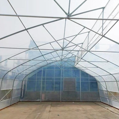 Indoor Hydroponic Tropical Area Polytunnel  Sawtootch Greenhouse With Cooling Irrigation System
