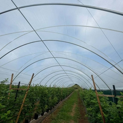 Uv Resistant Polyethylene Berry Hoop Film Greenhouse With Door Keep Warm Growing Strawberry Blueberry