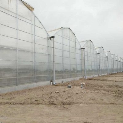Large Scale Multi Span PC Sheet / Board Venlo Polycarbonate Greenhouse For Flower Vegetable Plant