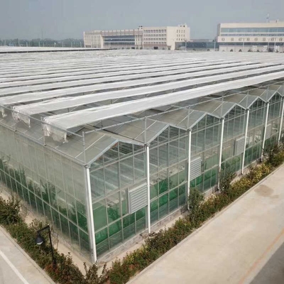 3mm 4mm Tomato Venlo Portable Glass Greenhouse Roof And Side Ventilation Control By Motor