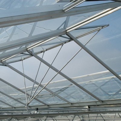 3mm 4mm Tomato Venlo Portable Glass Greenhouse Roof And Side Ventilation Control By Motor