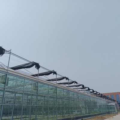 Modular Agricultural Greenhouse For Sale Dome Roof Cover Film Side Cover Multi Span Cucumber Lettuce Growing