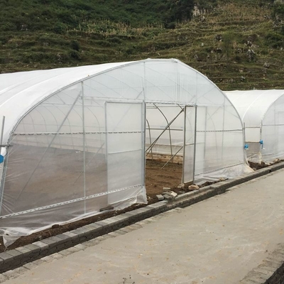 Hot Sale High Tunnel Plastic Single Span Greenhouse Agriculture For Vegetable Farm