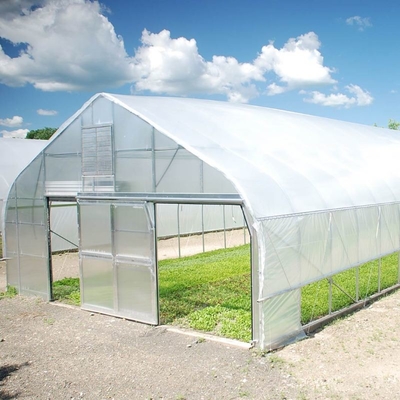 Hot Sale High Tunnel Plastic Single Span Greenhouse Agriculture For Vegetable Farm
