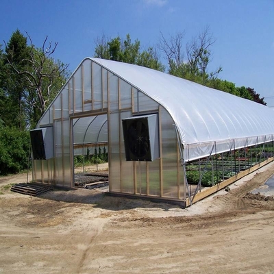 Hot Sale High Tunnel Plastic Single Span Greenhouse Agriculture For Vegetable Farm