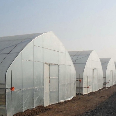 Hot Sale High Tunnel Plastic Single Span Greenhouse Agriculture For Vegetable Farm