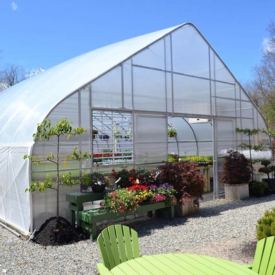 Hot Sale High Tunnel Plastic Single Span Greenhouse Agriculture For Vegetable Farm