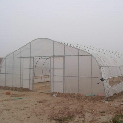 Hot Sale High Tunnel Plastic Single Span Greenhouse Agriculture For Vegetable Farm