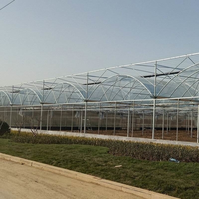 Vegetable Agricultural Tomatoes Dome Roof 7-10m Span Po Film Greenhouse