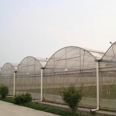 Vegetable Agricultural Tomatoes Dome Roof 7-10m Span Po Film Greenhouse
