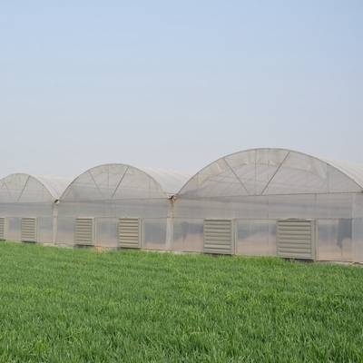 6 Foot 8 Foot Double Roof Arch Muliti Span Film Greenhouse Keep Warm For Tomatoes