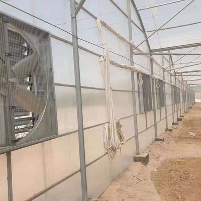 8mm 10mm Commercial Polycarbonate Greenhouse With Shading System Irrigation System