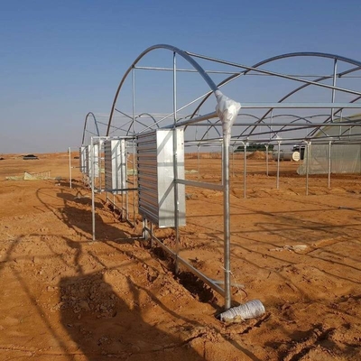 10 X 6 10 X 20 10 X 12  10' X 10 Clear Polycarbonate Greenhouse Wave Sheet Yellow Film Growing Lettuce Leaf Vegetable