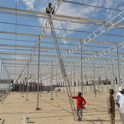 factory venlo Polycarbonate sheet farming greenhouse Multi-Span Commercial pc sheet Prefab green house overall  thermal system
