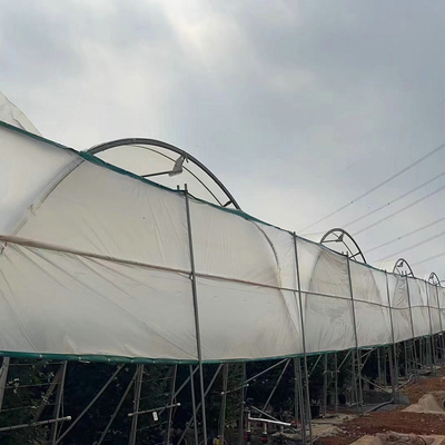 Good Quality Poly Tunnel Green House Low Cost Hot Sale Polytunnel Berry Greenhouse