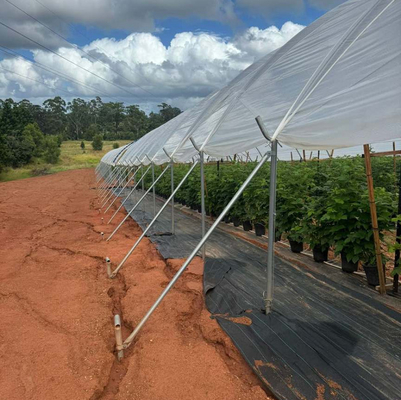 Good Quality Poly Tunnel Green House Low Cost Hot Sale Polytunnel Berry Greenhouse