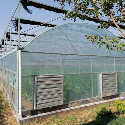 Cheap Custom Arch  Green House Plastic Film Multi Span Agriculture Greenhouse For Vegetable