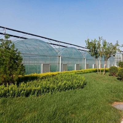 Hot Sale Hydroponic Multi-Span film Greenhouse For Rose/Strawberry/Tomato/Cucumber