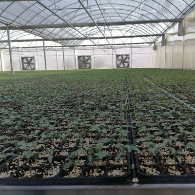 Factory wholesale stock exterior shading steel frame commercial multi span film greenhouse