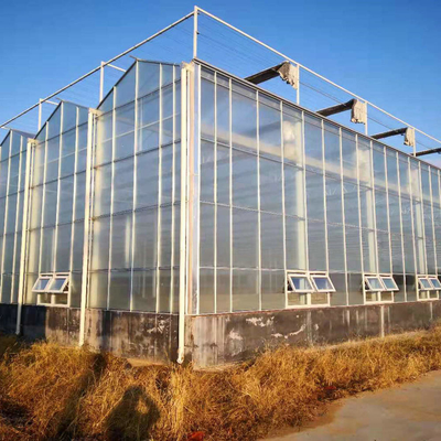 factory venlo Polycarbonate sheet farming greenhouse Multi-Span Commercial pc sheet Prefab green house overall  thermal system