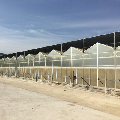 factory venlo Polycarbonate sheet farming greenhouse Multi-Span Commercial pc sheet Prefab green house overall  thermal system