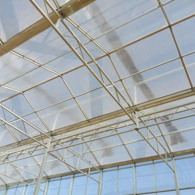 factory venlo Polycarbonate sheet farming greenhouse Multi-Span Commercial pc sheet Prefab green house overall  thermal system