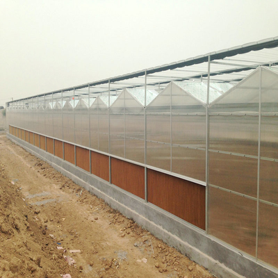 factory venlo Polycarbonate sheet farming greenhouse Multi-Span Commercial pc sheet Prefab green house overall  thermal system