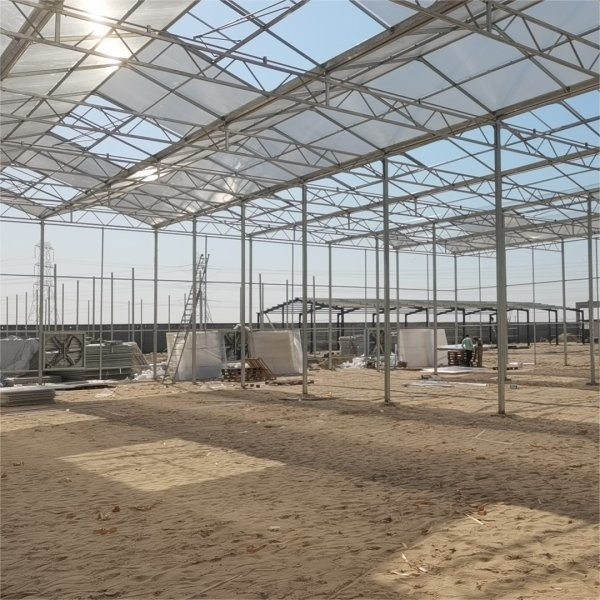 9x12 9x14 9x7 Board Polycarbonate PC Sheet Greenhouse For Hydroponic Growing System