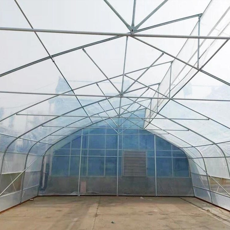 Indoor Hydroponic Tropical Area Polytunnel  Sawtootch Greenhouse With Cooling Irrigation System